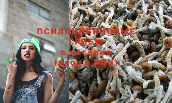 a pvp Сафоново